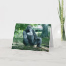 Recherche de gorille vœux cartes Zoo