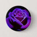 Recherche de goutes badges Violet