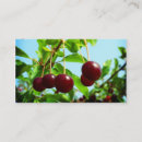 Recherche de cerise rouge cartes visite Cerises