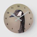 Recherche de gosse horloges Canadian goose