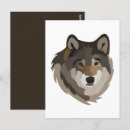 Recherche de tête loup cartes postales Gris