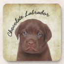 Recherche de chocolat labrador dessous de verres Chien
