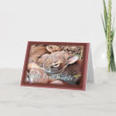 Recherche de lapin toutes vœux cartes Lapins