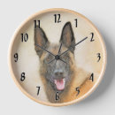 Recherche de belges horloges Malinois