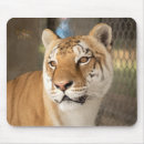 Recherche de chat doux tapis souris Pour tous