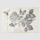 Recherche de frenchie noir cartes postales Noir et blanc