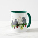Recherche de perroquet gris tasses Animal familier