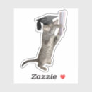 Recherche de chat tigré autocollants Chaton