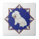 Recherche de frise bichon carreaux Animaux