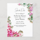 Recherche de bougainvillea cartes postales Pour tous