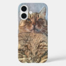 Recherche de chats tigrés iphone coques Toute personne