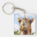 Recherche de dromadaire porteclés Animal