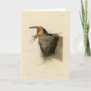Recherche de hirondelle vœux cartes Hirundo rustica