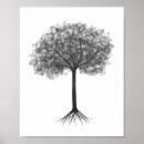 Recherche de arbre avec racines posters Plante