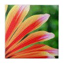 Recherche de africain carreaux Dynamique