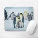 Recherche de pingouin bébé tapis souris Oiseau