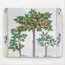 Recherche de fines herbes tapis souris Testard