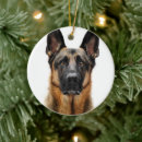 Recherche de german shepherd ornamente Puppy