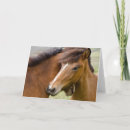 Recherche de islandais vœux cartes Poney
