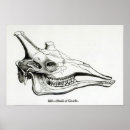 Recherche de tête de girafe posters Animal
