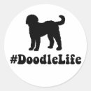 Recherche de goldendoodle autocollants Labradoodle