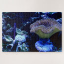 Recherche de aquarium puzzles Corail