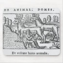 Recherche de traiteur tapis souris Femelle