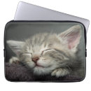 Recherche de de chaton ordinateurs portables housses Photographie