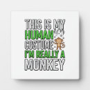 Recherche de costumes plaques Accessoireshalloween