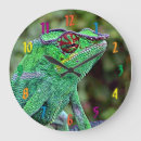 Recherche de cameleon horloges Vert