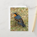Recherche de var cartes postales Oiseau