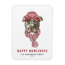 Recherche de pitbull magnete Dog