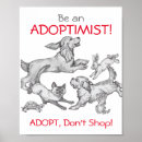 Recherche de adoptions posters Chat