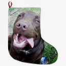 Recherche de labrador chaussette de noël Animal