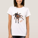Recherche de tarantula vêtements Arthropode