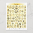 Recherche de amulette cartes postales Antique