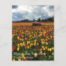 Recherche de champ de tulipe cartes postales Ferme