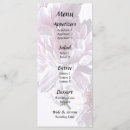 Recherche de chrysanthème rose Automne