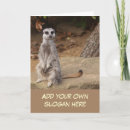 Recherche de meerkat vœux cartes Amusant