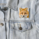 Recherche de renards badges Faune