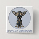 Recherche de chiwawa badges Animal familier