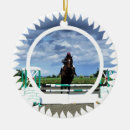 Recherche de chevaux ornements Équestre