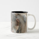 Recherche de babouin tasses Nature