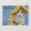 Recherche de chat jaune cartes postales Drôle