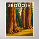 Recherche de arbre géant posters Séquoia