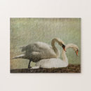 Recherche de cygnes puzzles Adulte