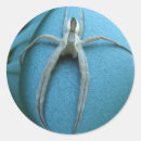 Recherche de arachnids autocollants Nature