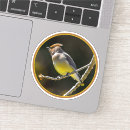 Recherche de cèdres autocollants Oiseau