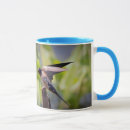 Recherche de hirondelle tasses Oiseau