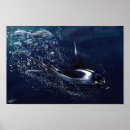 Recherche de manta ray posters Poisson